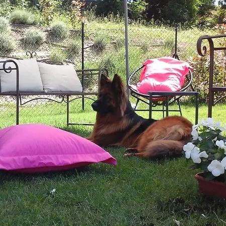 Cumana Blu Апарт-отель