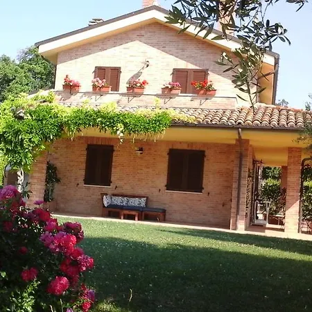 Cumana Blu Campofilone