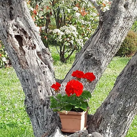 Cumana Blu Апарт-отель 4*